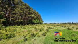 Nieruchomości Gorzów - Działka warunki zabudowy inne inwestycje!